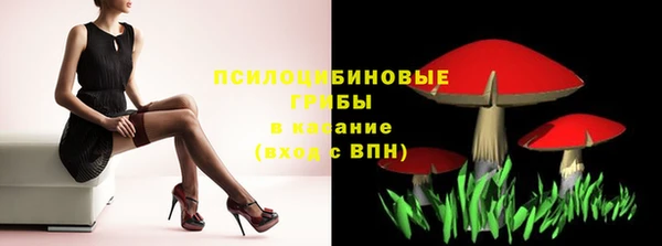 прущий лед Ессентукская