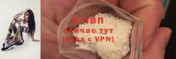 прущие крисы Нефтекумск