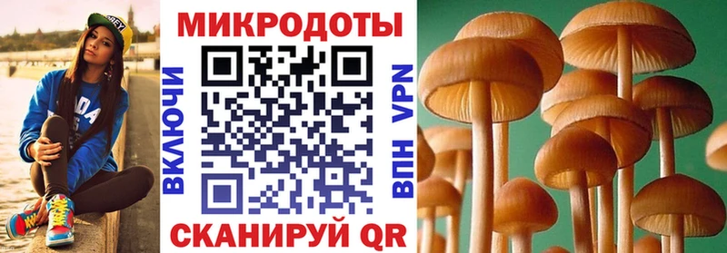 Галлюциногенные грибы мухоморы  сколько стоит  Торопец 